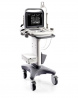 Ветеринарный ультразвуковой сканер SonoScape A6V